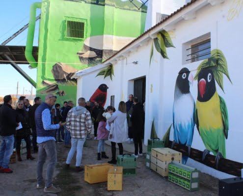 Satisfacción en la Asociación de Canaricultores “Don Quijote” por el gran número de visitas al XXXVII Concurso-Exposición de Canaricultura y Ornitología 1