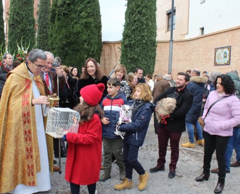Cálido fin de semana con celebraciones, hogueras y procesión por San Antón 12
