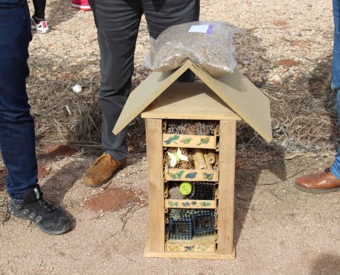 Alumnos del IES Juan Bosco visitan el Bosque de la Vida con un proyecto enfocado en las abejas 7