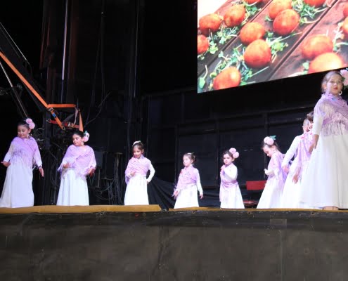La Romería de San Isidro regresa a Alcázar de San Juan en una celebración llena de tradición y alegría 44