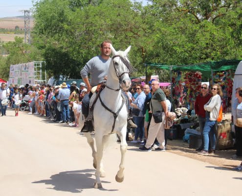 La Romería de San Isidro regresa a Alcázar de San Juan en una celebración llena de tradición y alegría 74